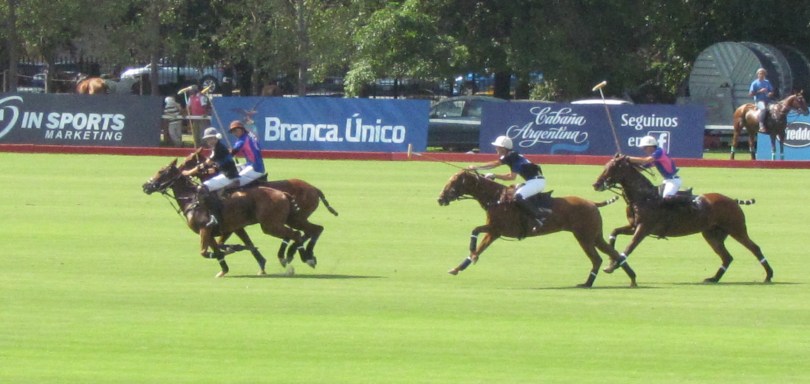 polo match buenos aires field horses